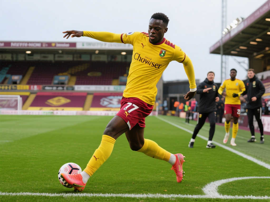 不仅是球员 不仅是球员